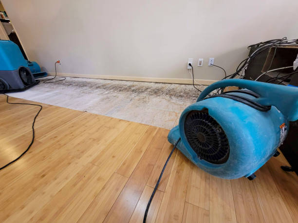 Professional Water Damage Repair technician working in Wyoming, WY
